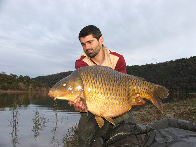 Carp System saranski ribolov