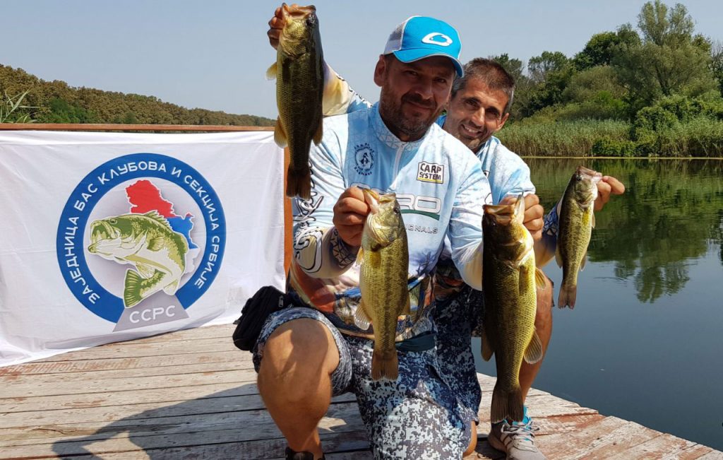 carp-system-bass-liga-2019